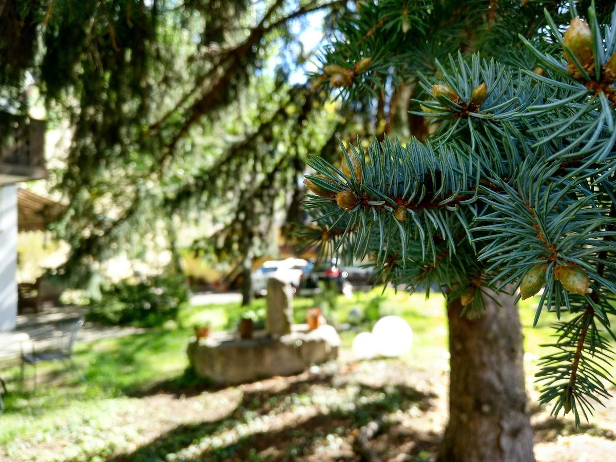 Hotel Pension Schweitzer Silandro Zewnętrze zdjęcie